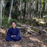 名無き仙人と神社の森