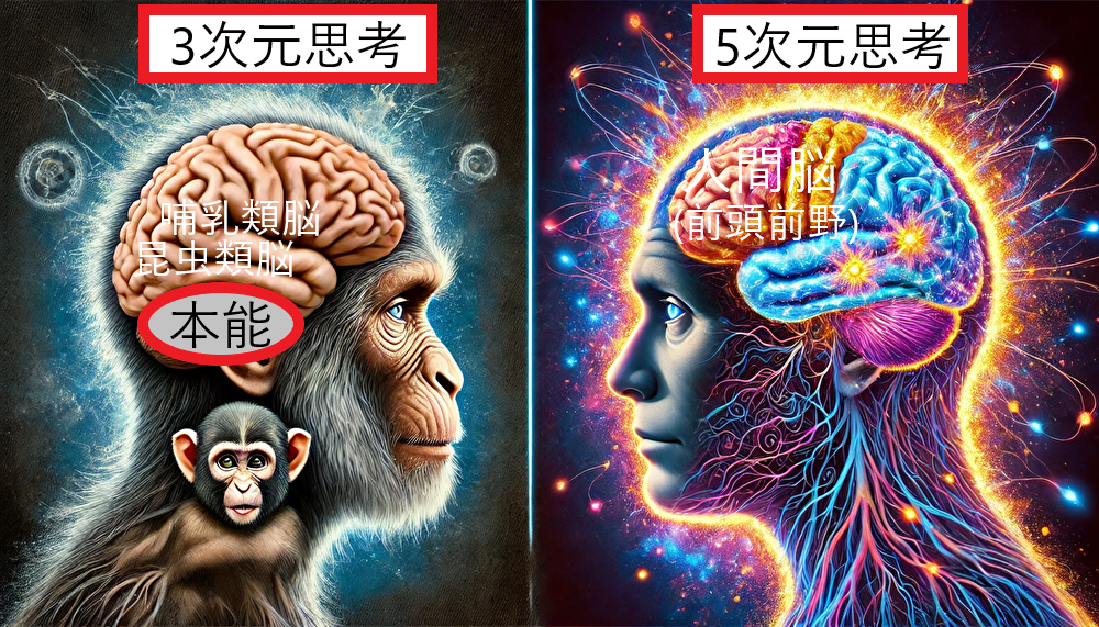 ３次元思考と５次元思考